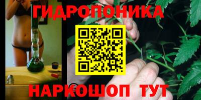 ALPHA PVP Краснознаменск