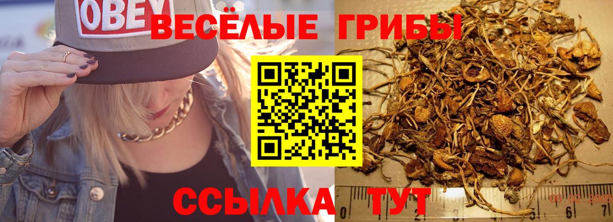 Выкса  Галлюциногенные грибы прущие грибы  Вход с VPN 